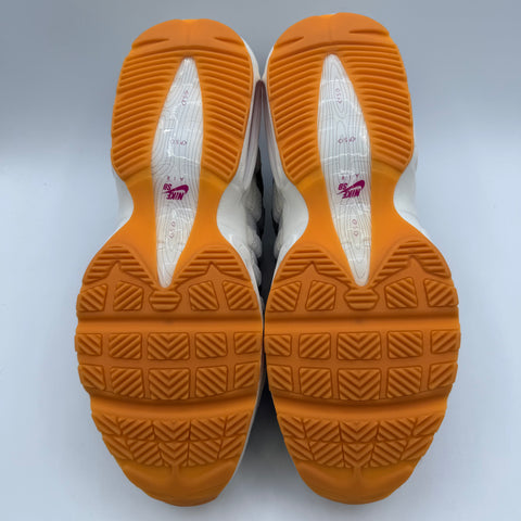 Nike Air Max 95 SB 'Cactus Flower (2025)' | US M 10.5