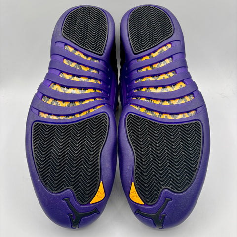 Air Jordan 12 Retro 'Field Purple (2023)' | US M 14