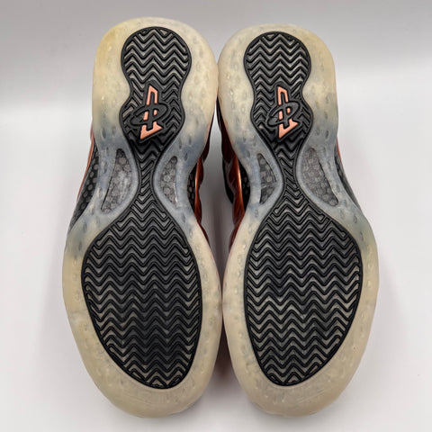 Nike Air Foamposite One `Copper (2024)` | US M 9.5
