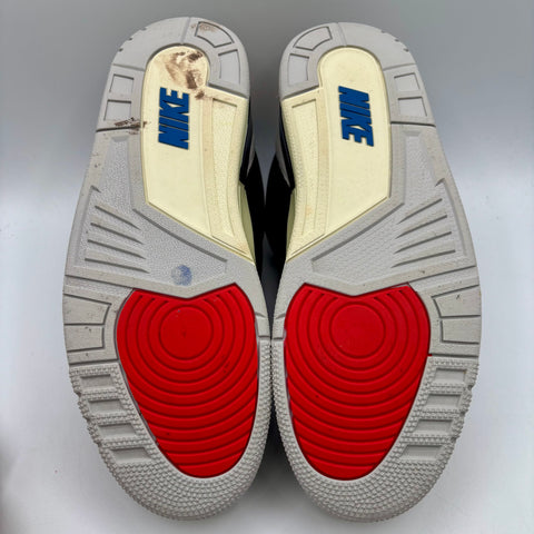 Air Jordan 3 Retro 'Rare Air (2025)' | US M 10