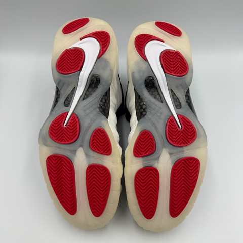 Nike Air Foamposite Pro `Pearl (2025)` | US M 9