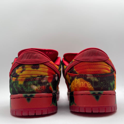 Nike SB Dunk Low 'The Wizard of OZ Poppy Field (2024)' | US M 10.5 (No Box)
