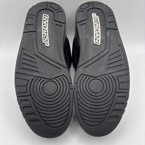 Air Jordan 3 Retro 'Black Cat (2025)' | US M 9.5