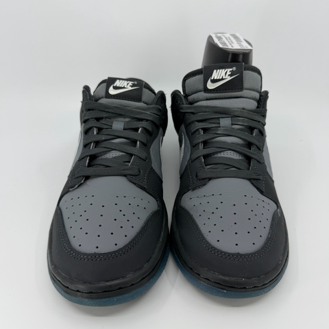 Nike Dunk Low 'Anthracite (2023)' | US M 8 (No Box)