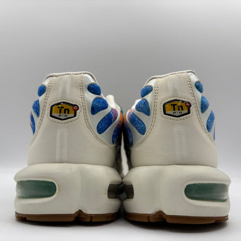 Nike Air Max Plus 'Alternate Galaxy (2018)' | US M 11.5 (No Box)