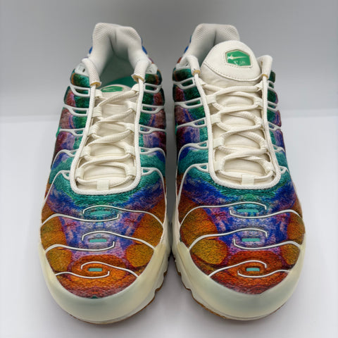 Nike Air Max Plus 'Alternate Galaxy (2018)' | US M 11.5 (No Box)