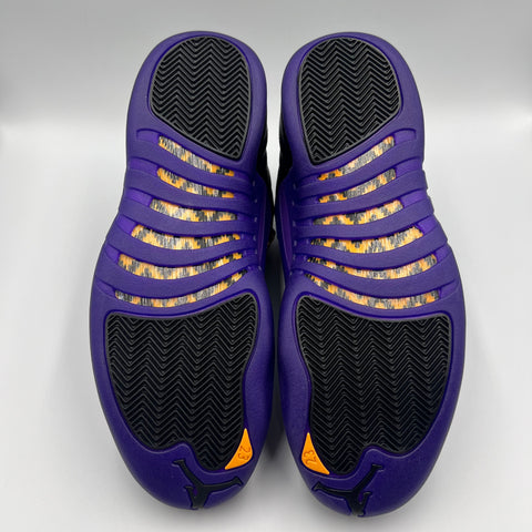 Jordan 12 Retro `Field Purple (2023)` | US M 11