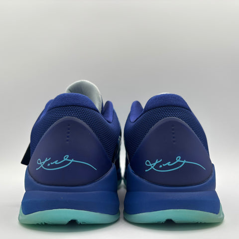 Nike Kobe 5 Protro 'X-Ray (2025)' | US M 9