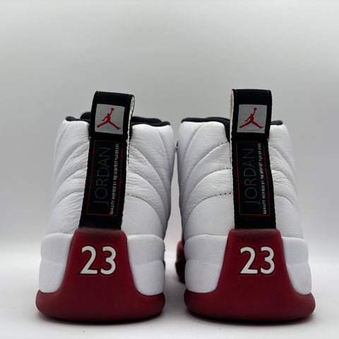 Air Jordan 12 Retro 'Cherry (2023)' | US M 8.5 (No Box)