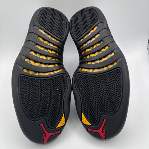 Air Jordan 12 Retro 'Taxi (2025)' | US M 10.5
