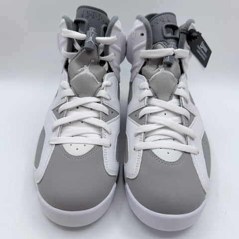 Air Jordan 6 Retro 'Cool Grey (2023)' | US M 8.5