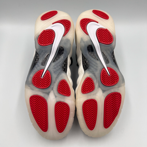 Nike Air Foamposite Pro `Pearl (2025)` | US M 8