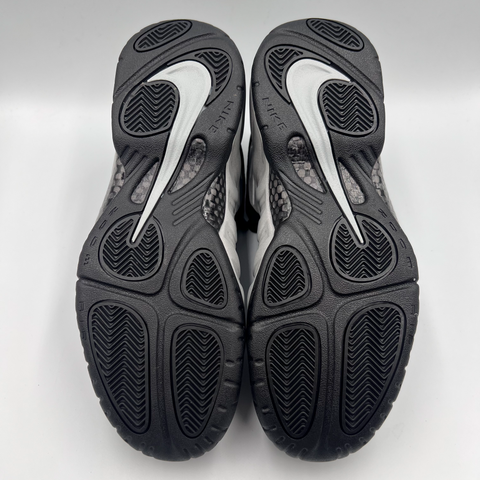 Nike Air Foamposite Pro `Wolf Grey (2024)`  | US M 11