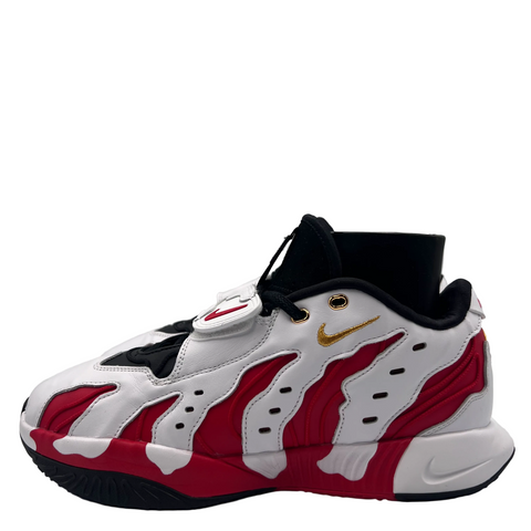 Nike LeBron 21 `Prime 96 (2025)` | US M 10.5