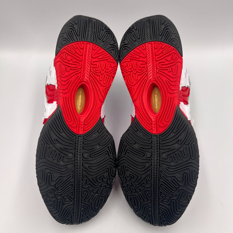 Nike LeBron 21 `Prime 96 (2025)` | US M 10.5