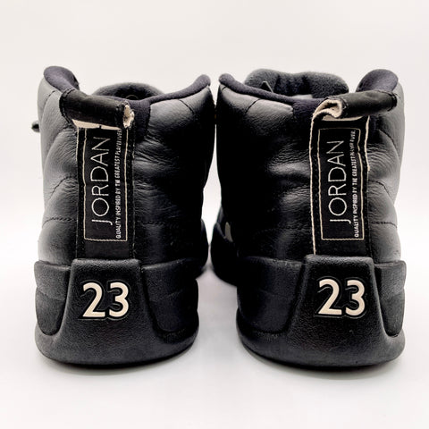 Air Jordan 12 Retro 'The Master (2016)' | US M 8 (No Box)