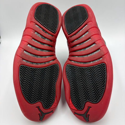 Air Jordan 12 Retro 'Flu Game (2025)' | US M 8.5