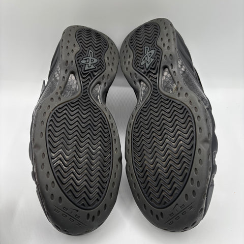 Nike Air Foamposite One 'Anthracite (2023)' | US M 10 (No Box)