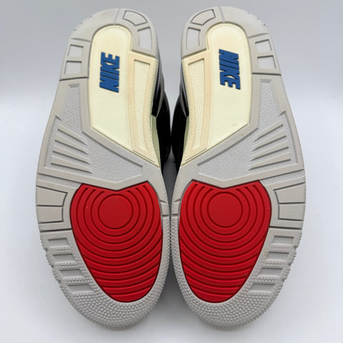 Air Jordan 3 Retro 'Rare Air (2025)' | US M 10.5 (No Box)