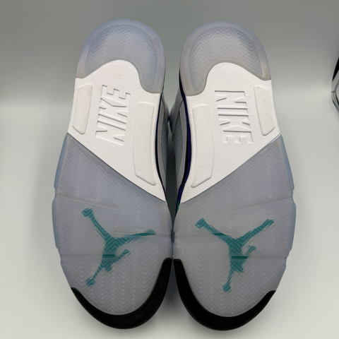 Jordan 5 Retro 'Grape (2025)' | US M 12