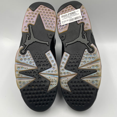 Air Jordan 6 Retro 'All Star Chameleon (2017)' | US M 8.5 (No Box)