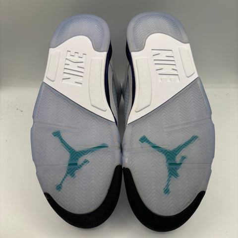 Air Jordan 5 Retro 'Grape (2025)' | US M 12