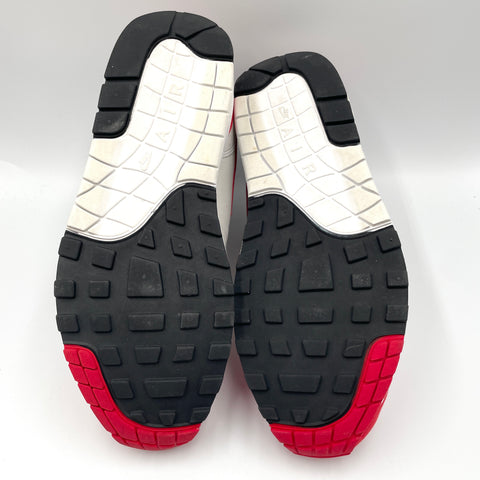 Nike air Max 'Anniversary Red (2018)' | US M 9