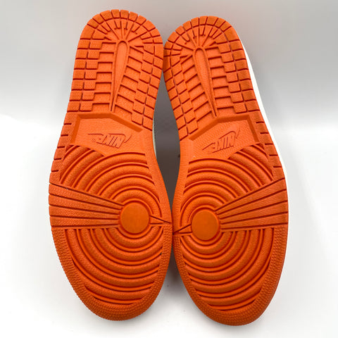Air Jordan 1 Retro 'Reverse Shattered Backboard (2018)' | US M 9.5