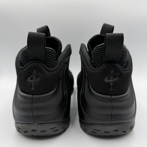 Nike Air Foamposite One 'Anthracite (2023)' | US M 9.5