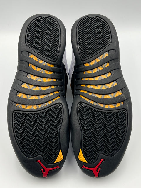 Air Jordan 12 Retro `Taxi (2025)` | US M 10