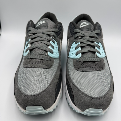Nike Air Max 90 'Light Pumice Smoke Grey (2024)' | US M 13
