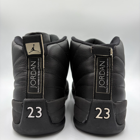Air Jordan 12 Retro 'The Master (2016)' | US M 9.5 (No Box)