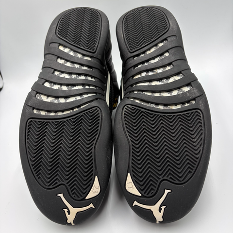 Air Jordan 12 Retro 'The Master (2016)' | US M 9.5 (No Box)