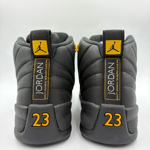 Air Jordan 12 Retro 'Black Taxi (2025)' | US M 7 (No Box)