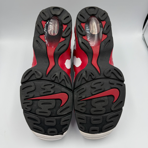 Nike Air DT Max '96 `White Red (2018)' | US M 13 (NB)