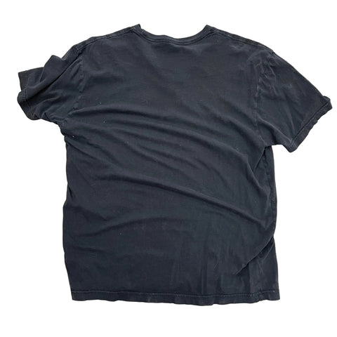 Vintage P!NK The Truth About Love Tour Tee 'Black' | US MED