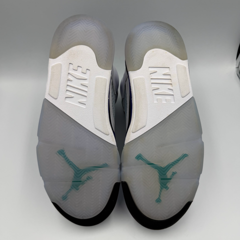 Jordan 5 Retro 'Grape (2025)' | US M 9