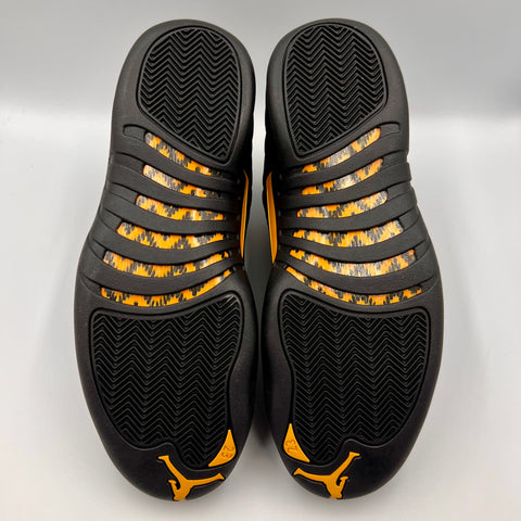 Air Jordan 12 Retro 'Black Taxi (2022)'  | US M 11.5