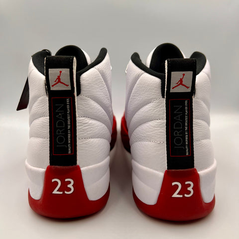 Air Jordan 12 Retro 'Cherry (2023)'  | US M 11.5