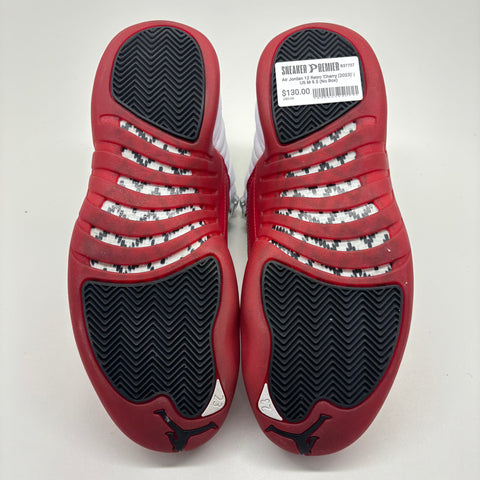 Air Jordan 12 Retro 'Cherry (2023)' | US M 9.5 (No Box)