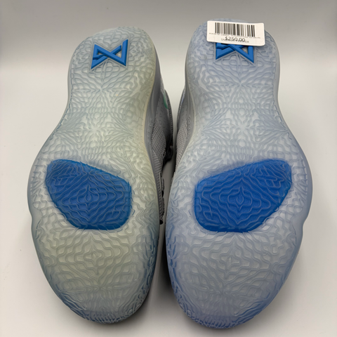 Nike PG 2.5 `Playstation Wolf Grey (2018)` | US M 10.5
