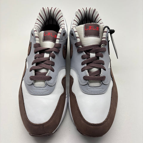 Nike Air Max 1 Premium 'Shima Shima (2023)' | US M 11