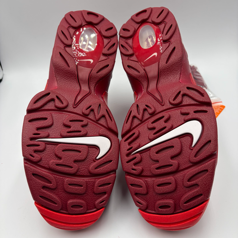 Nike Air DT Max '96 'Love Letter to Connie (2025)' | US M 9