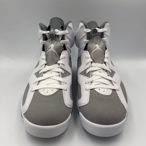 Air Jordan 6 Retro 'Cool Grey (2023)' | US M 11