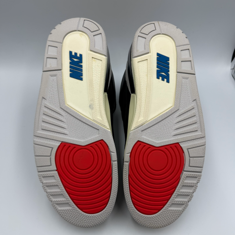 Air Jordan 3 Retro 'Rare Air' | US M 9