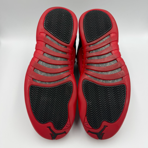 Air Jordan 12 Retro 'Flu Game (2025)' | US M 10.5