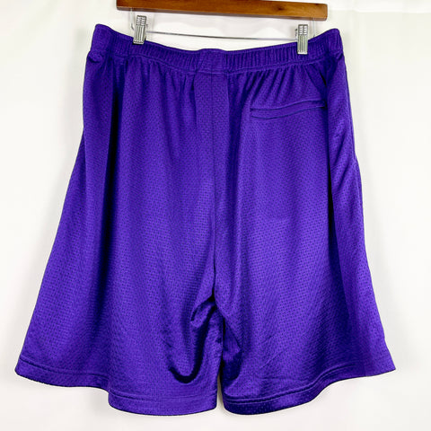 Supreme Small Box Logo Baggy Mesh Short 'Purple' | US M Large