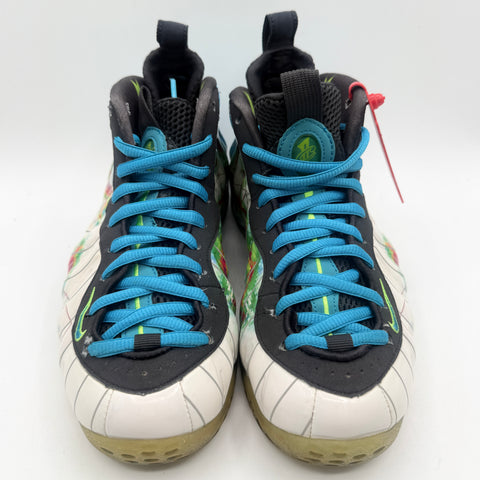 Nike Air Foamposite One 'Weatherman (2013)' | US M 7 (No Box)
