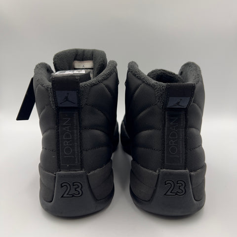 Air Jordan 12 Retro 'Winter (2018)' | US M 10.5 (No Box)