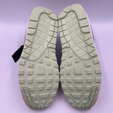 Nike Air Max 1 PRM 'Duck Honey Dew (2022)' | US M 8